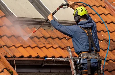 Démoussage et hydrofuge de toiture à Lalanne